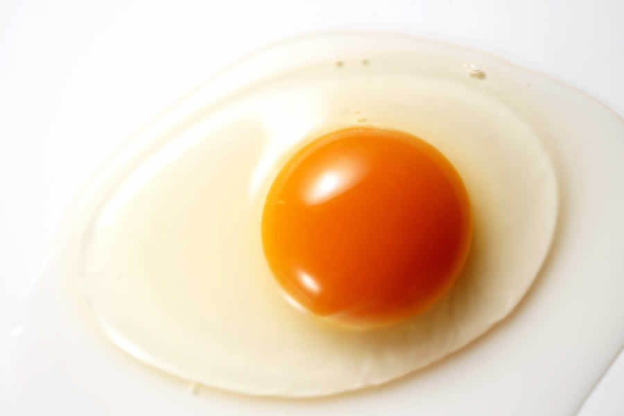 石津養鶏場の自然卵